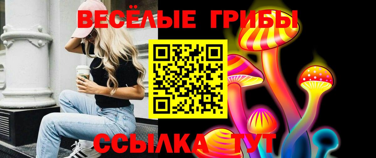 Галлюциногенные грибы ЛСД  Вход с VPN  Светлоград 